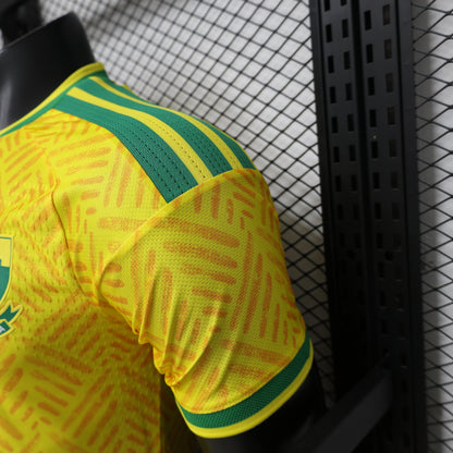 Player Version South Africa Home Jersey 2026 World Cup Football Kit Soccer Shirt